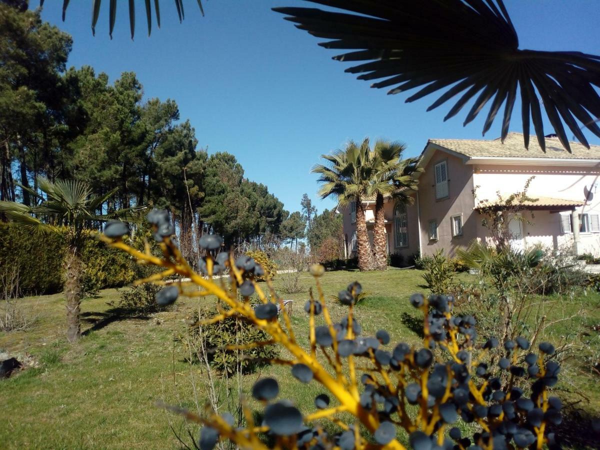 Hotel Casa Do Soito Mangualde Esterno foto